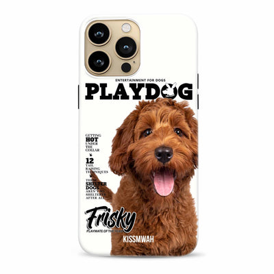 Playdog magazine