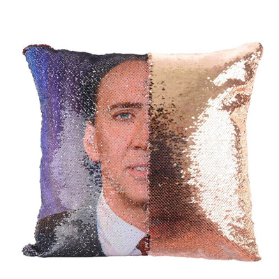 Sequin Picture pillow